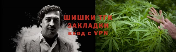 гидра Касимов