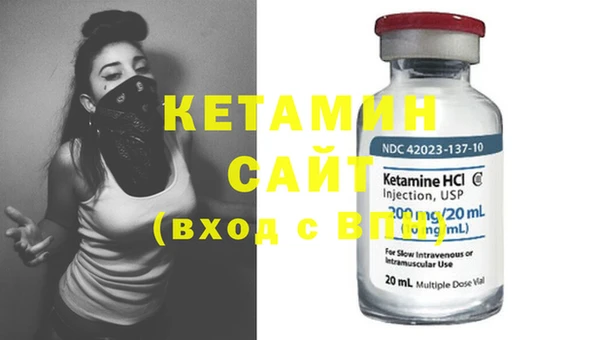 индика Каменка