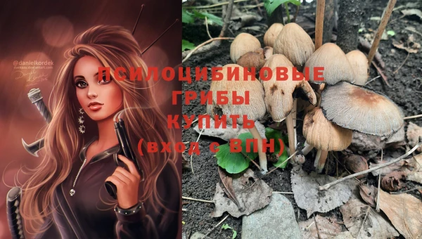 крисы Карталы