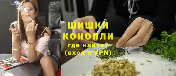 гидра Касимов