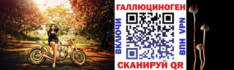 Галлюциногенные грибы Psilocybe  Краснозаводск 